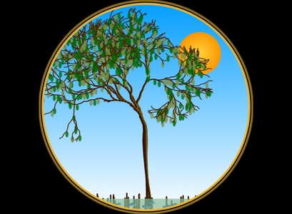 504f554e