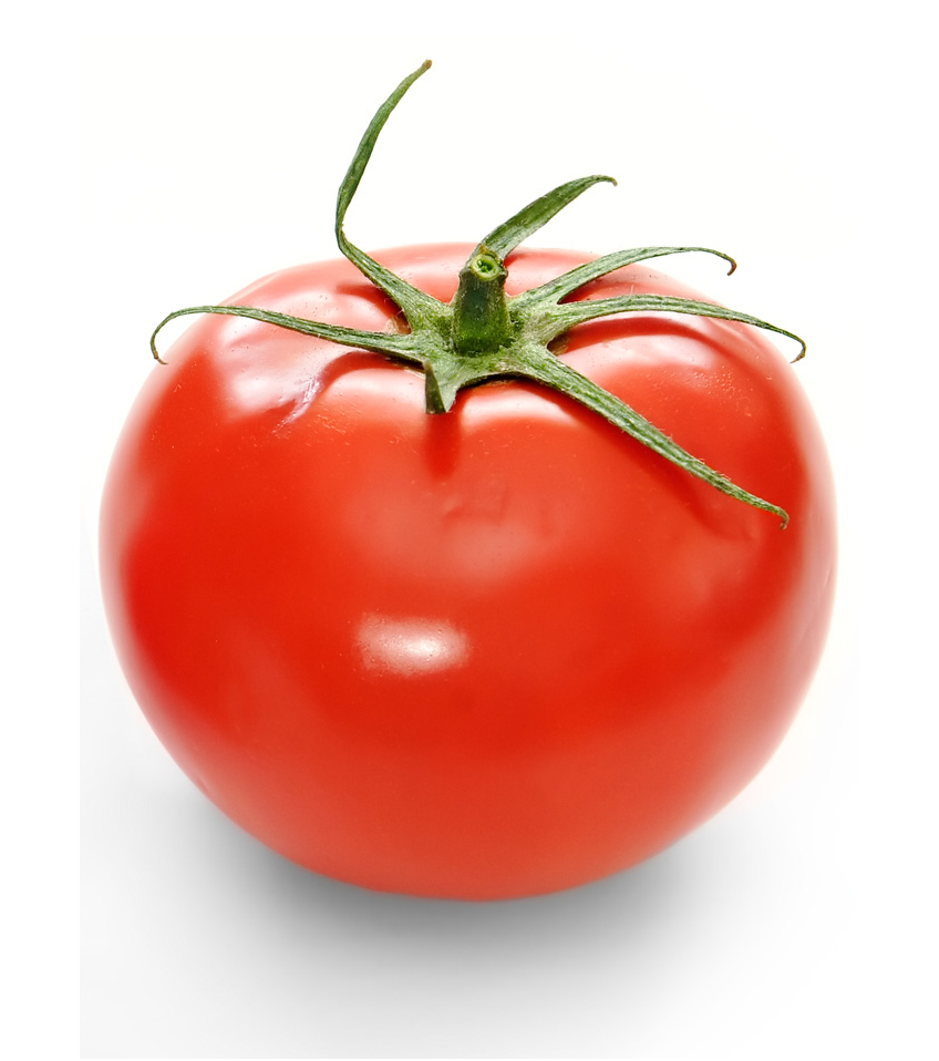 TOMATO
