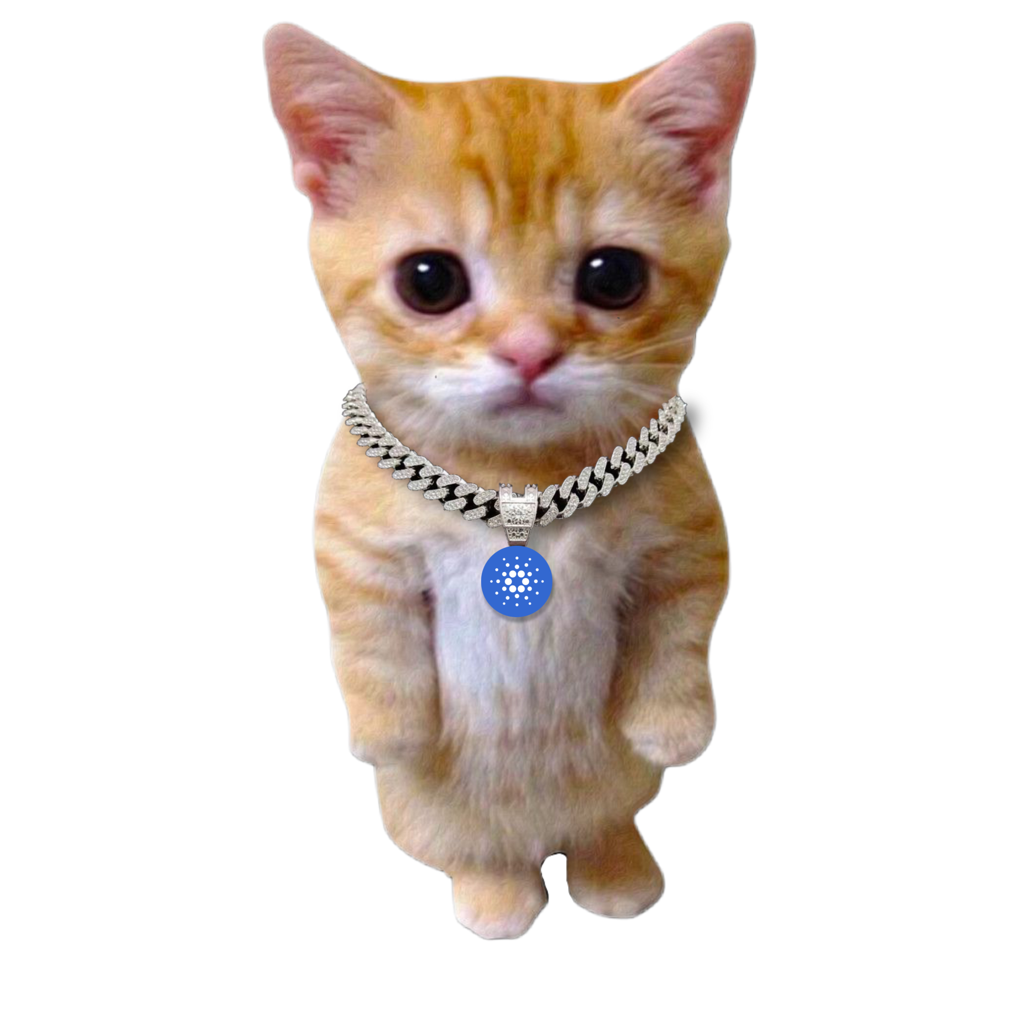 ADACAT