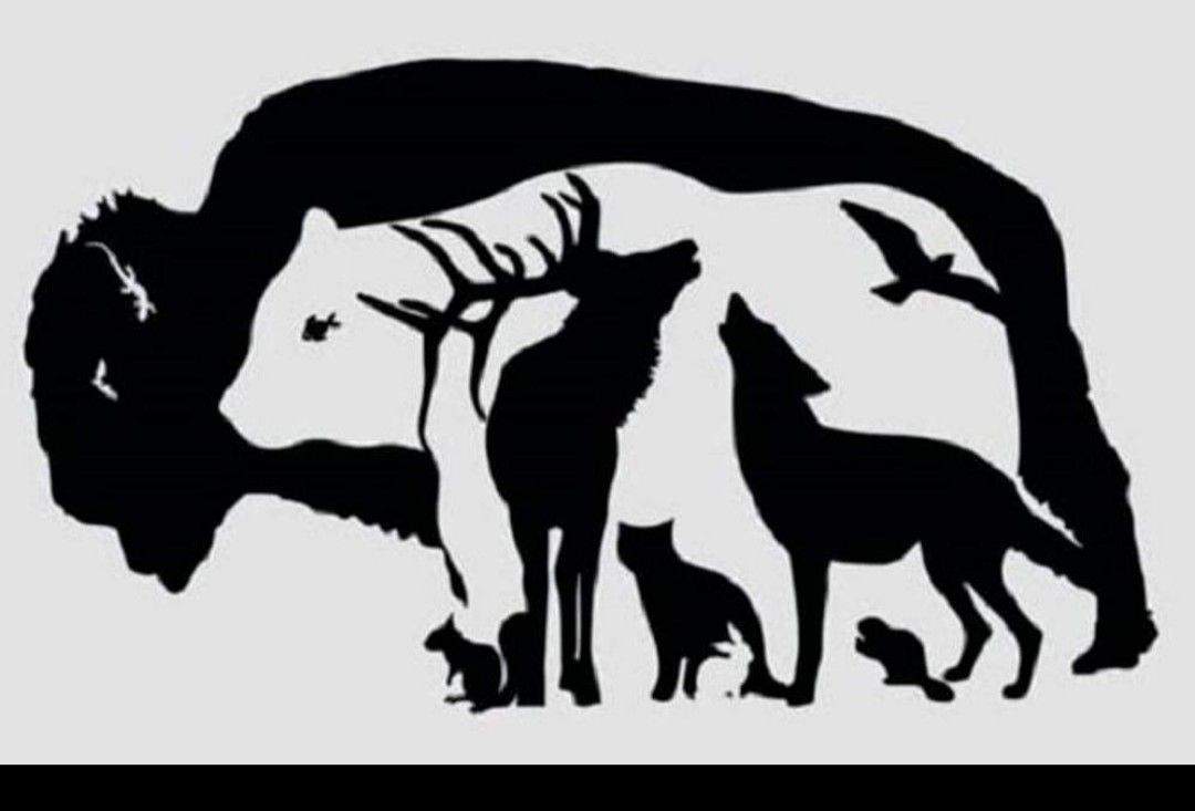 ANIMAL