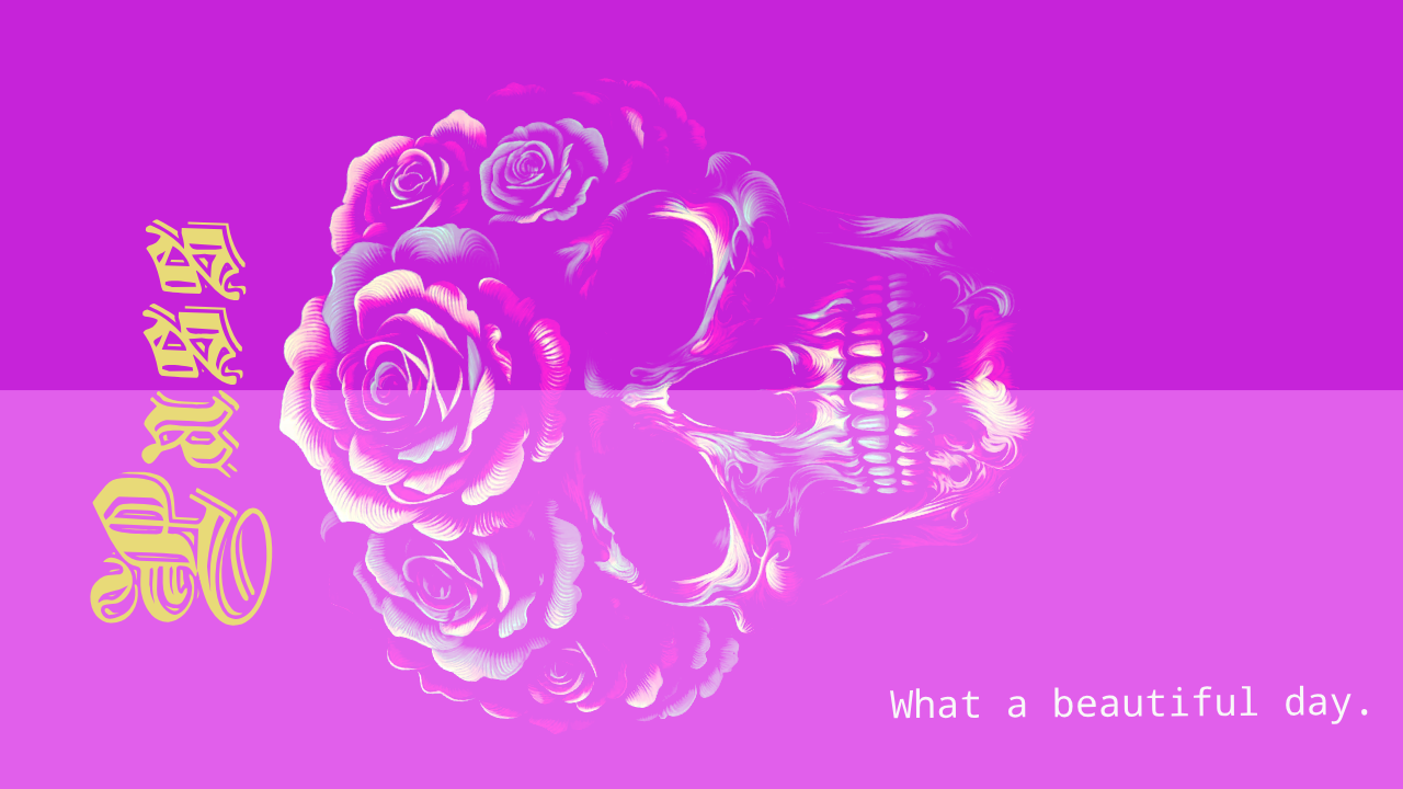 48776169