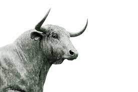 REAL