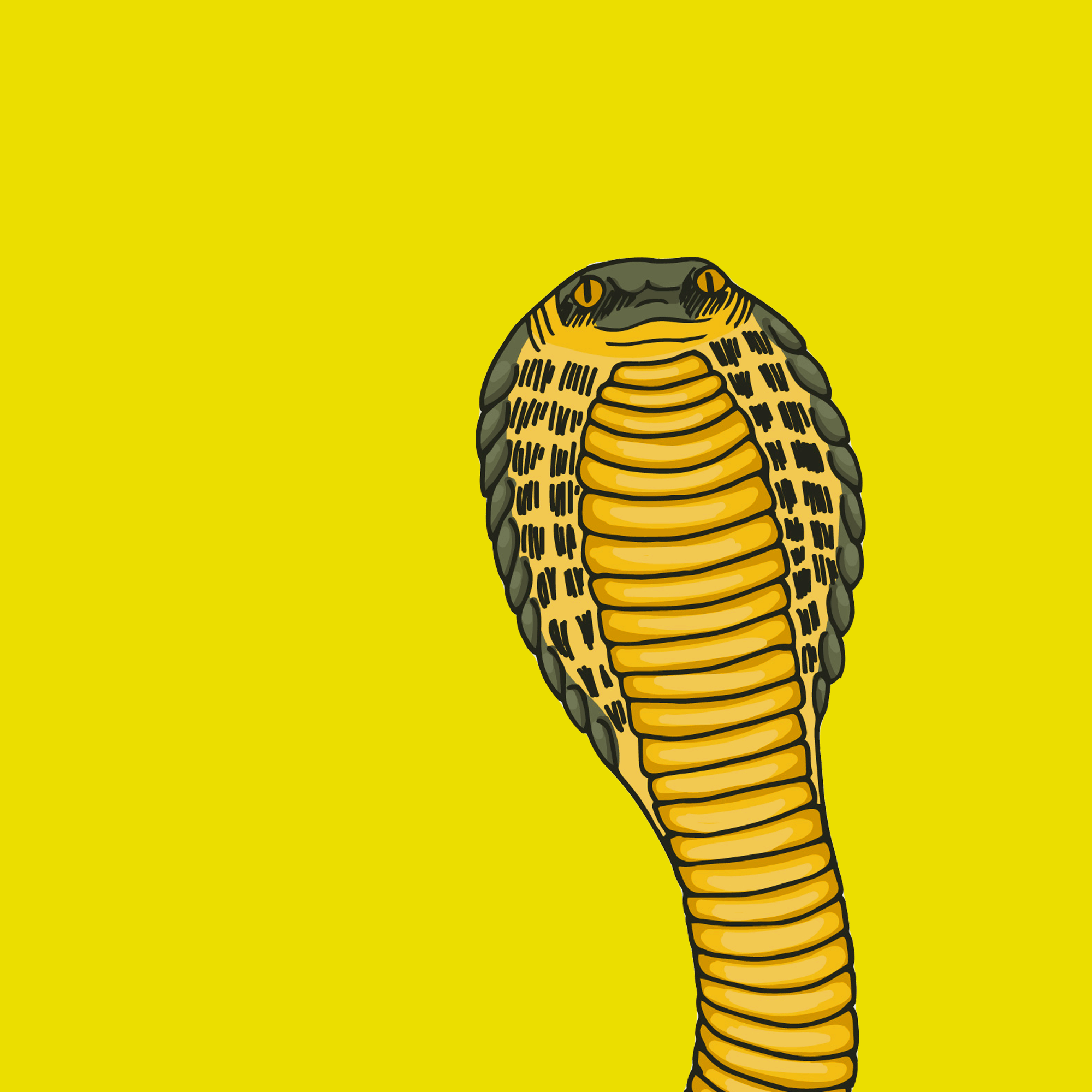 434f4252
