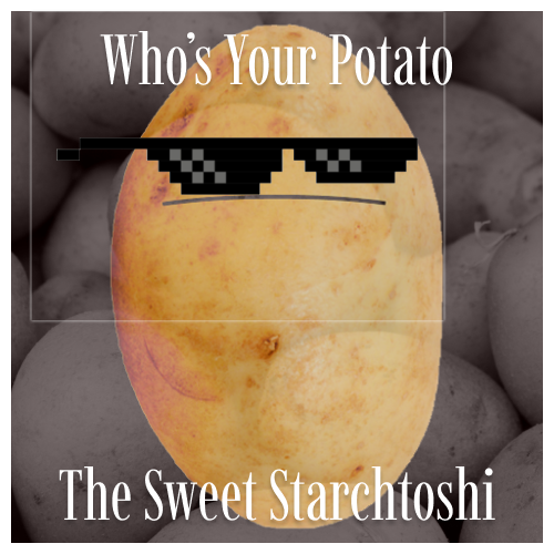 5568