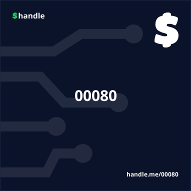 30303038