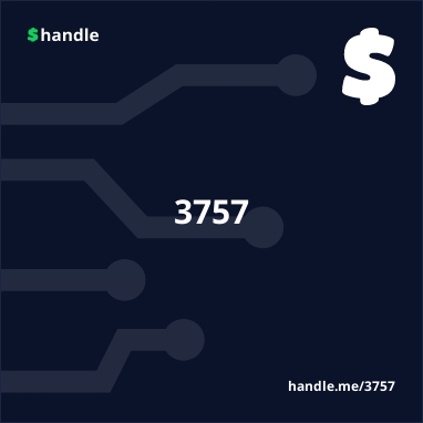 33373537